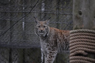 Je te voie_4298430543_l.jpg